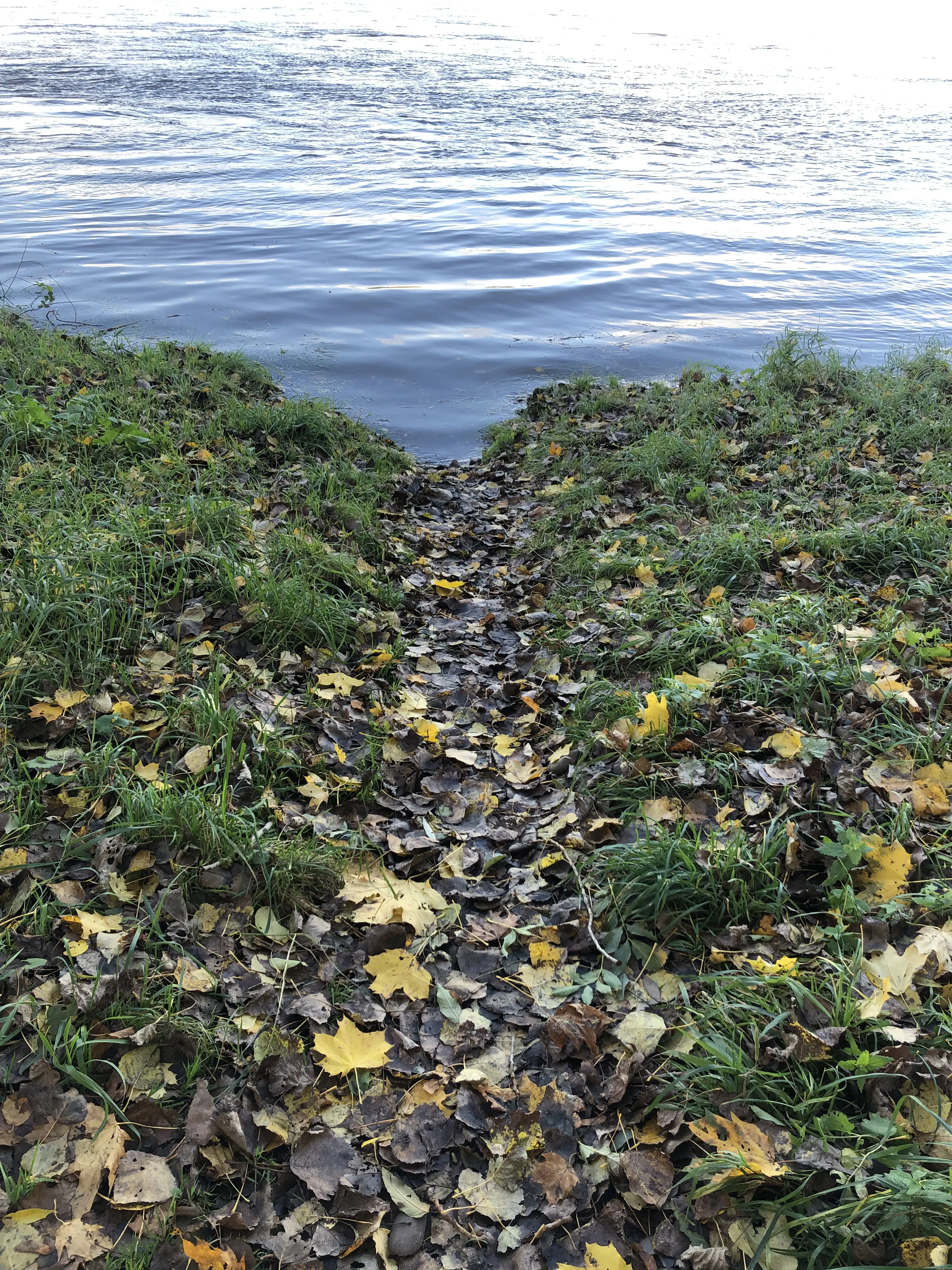 Herbstlandschaft von Bhuiyan